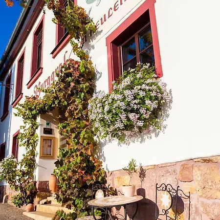 Zum Burggraf 3* Neuleiningen