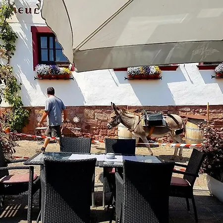 호텔 Zum Burggraf 3*