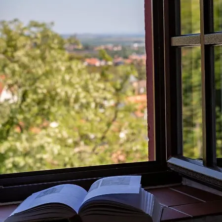 Zum Burggraf 3* 뉴라이닝언