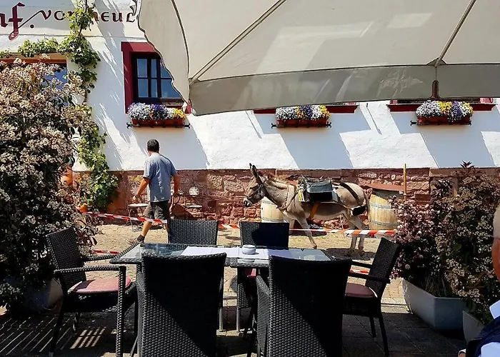 Hotel Restaurant Zum Burggraf 3*