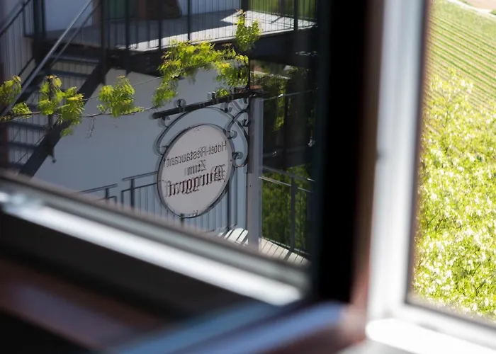 Hotel Restaurant Zum Burggraf 3*