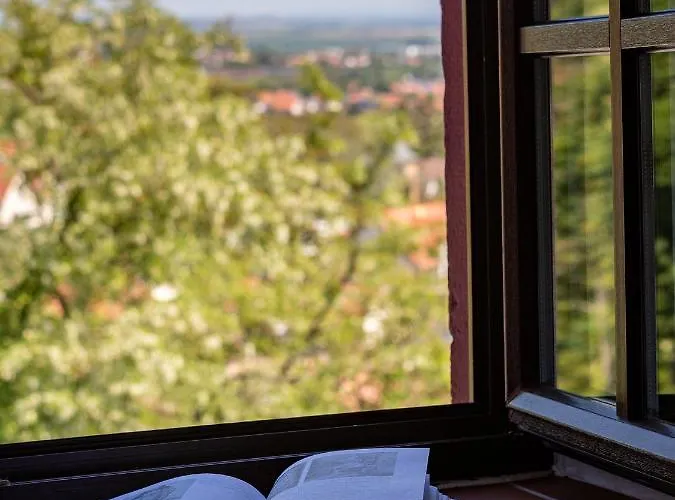 Zum Burggraf 3* Neuleiningen