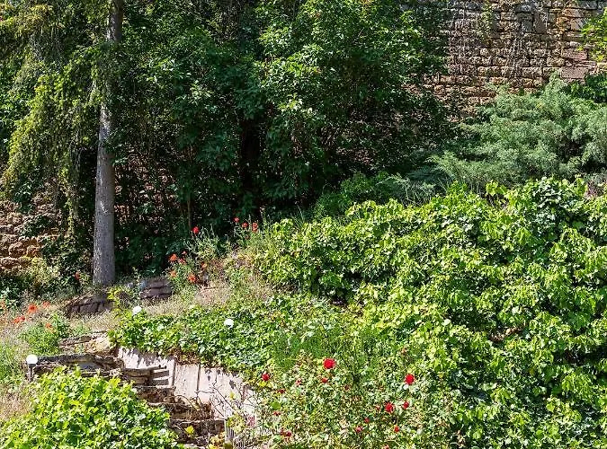 Zum Burggraf Otel Neuleiningen